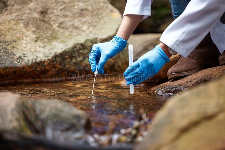 Environmental Impact Assessment (EIA) in Plain Language: What Clients Should Expect