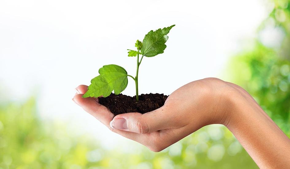 Environmental Compliance Checklist for Small & Medium Industries (2026 Edition)